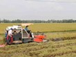 Venezuela oficializa acuerdos agrícolas con Vietnam