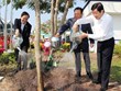 Presidente vietnamita llama a impulsar la plantación de árboles