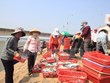 Quang Tri dedica esfuerzos por estabilizar la vida de pescadores locales
