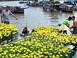 Seminario busca medidas para el desarrollo turístico del Delta de Mekong