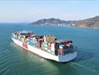 Carga de contenedores mediante puertos marítimos vietnamitas se duplica en siete años 