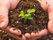 Vietnam producirá 25 por ciento de fertilizantes orgánicos para 2025