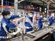 Crecimiento económico de Vietnam consolida confianza de inversores europeos