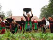 Conservan canción popular de etnia minoritaria de Vietnam