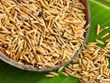 Científico vietnamita encuentra compuestos contra el cáncer en cáscaras de arroz 