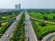 Hanoi refuerza cobertura de árboles en carreteras urbanas 