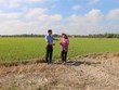 Provincia vietnamita de Tra Vinh se enfrasca en superar la sequía e intrusión salina