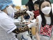 Hanoi avanza en la vacunación antiCOVID-19 para niños