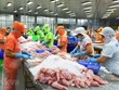México figura entre los tres mayores mercados receptores de pescado vietnamita Tra