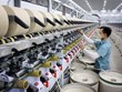 Economía de Vietnam crecerá  6,6% este año según pronóstico de OCED