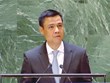 Vietnam apoya implementación del Marco de Acción de Sendai 
