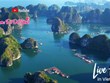 Turismo de Vietnam se acelera gracias a la digitalización