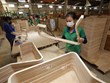 Exportación de productos madereros de Vietnam supera mil millones de USD