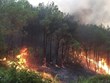 Primer ministro pide reforzar medidas para prevenir incendios forestales