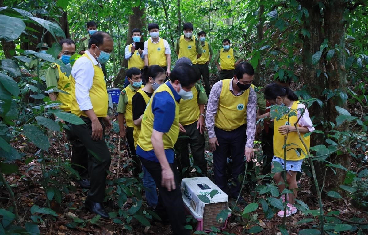 Iniciativa especial en parque nacional de Vietnam para traer animales 'a casa' 
