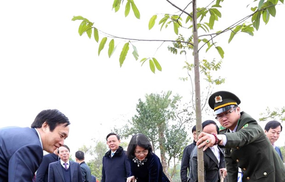 Vicepresidenta de Vietnam lanza festival de plantación de árboles