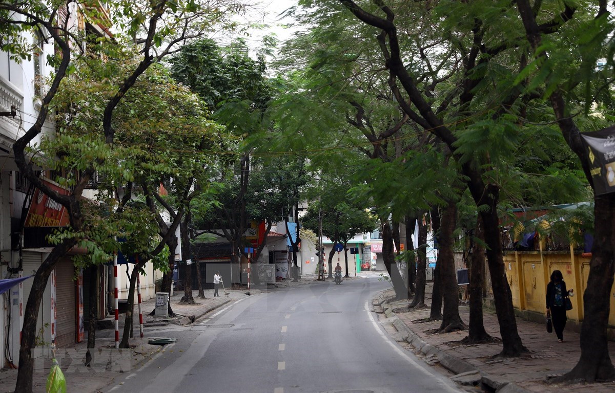 Registran mejor calidad de aire en ciudades vietnamitas