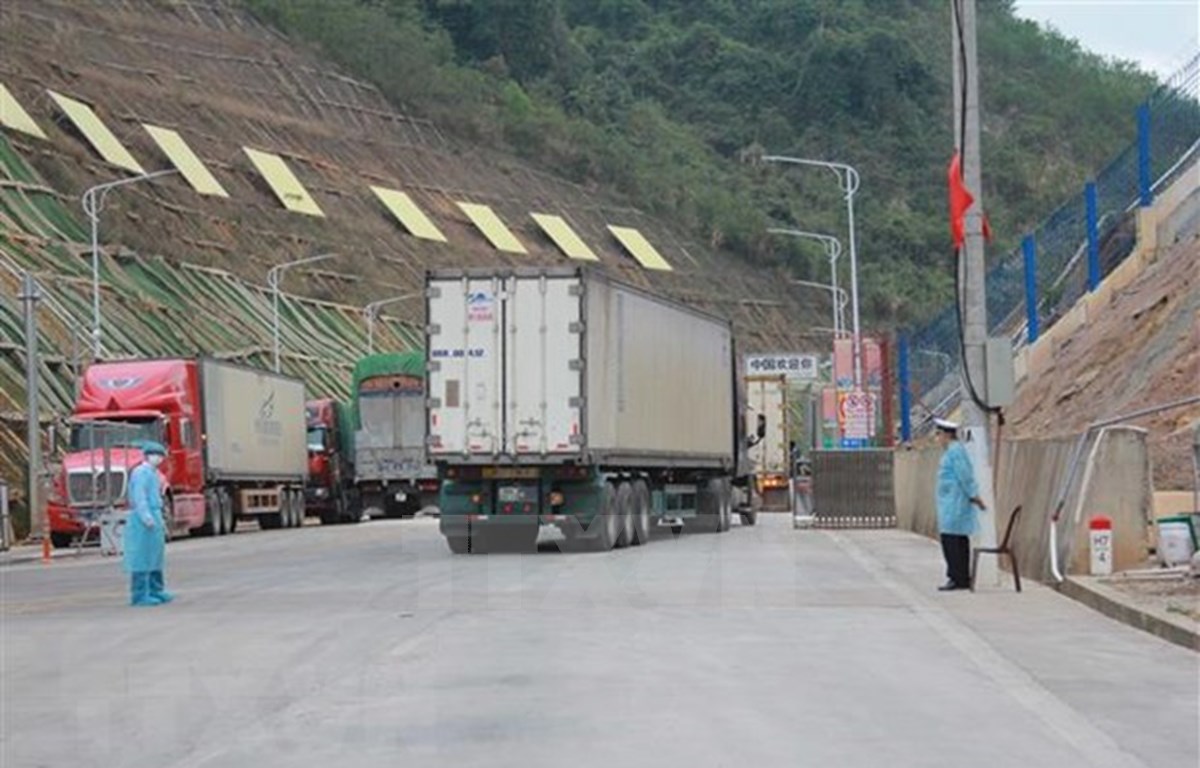 Aclaran información sobre suspensión de recepción de bienes en puerta fronteriza vietnamita