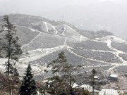 Nieves cubren varias partes de Vietnam