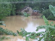 Inundaciones en el Centro: las imágenes de los daños que han dejado las lluvias