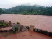 [Fotos] Inundaciones causan grandes pérdidas en Vietnam