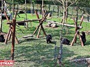 [Fotos] Nueva casa para los osos en Vietnam