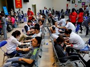 [Fotos] Campaña de donación de sangre en Hanoi 