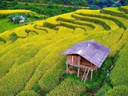 Belleza de atracciones turísticas sin explotar en provincia vietnamita de Cao Bang