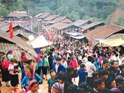 Feria de mercado destaca cultura de zona montañosa de región norvietnamita