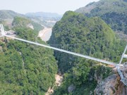 La pasarela de cristal más larga del mundo es un puente de Vietnam