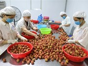 Productos agrícolas vietnamitas con valor de exportación superior a mil millones de dólares