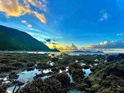 Isla de Con Dao, paraíso turístico marítimo en Vietnam
