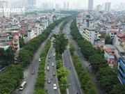 Corazones de turistas resplandecen con amabilidad de Árboles verdes en Hanoi
