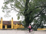 Sorprendente “aldea en la ciudad” de cuatro siglos en el corazón de Hanoi