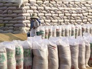 Vietnam conservará segundo puesto como exportador mundial de arroz