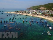 Turismo marítimo contribuye en gran medida a la economía de Vietnam