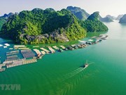 Cat Ba de Vietnam entre parques nacionales en el mundo que deben visitar