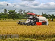 Estados Unidos se erige en el mayor exportador de productos agrícolas a Vietnam