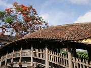 Admirable belleza de puente de tejas de 500 años de antigüedad en provincia vietnamita