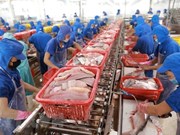China sigue siendo mayor importador de pangasius vietnamita en 2022 