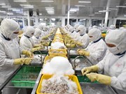 Aumenta valoración positiva sobre perspectiva comercial de Vietnam 