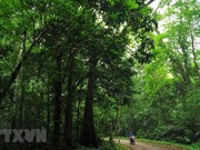 Cuc Phuong premiado por quinta vez como el parque nacional líder de Asia 