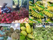Exportaciones de frutas y hortalizas vietnamitas marcan récord histórico