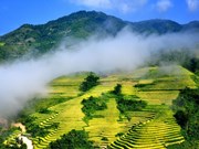 Sitios vietnamitas figuran entre destinos ideales en otoño en Asia
