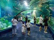 Mundo oceánico realista en el Acuario Lotte World Hanoi