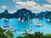 Vietnam honrado por cuarta vez como mejor destino patrimonial del mundo 