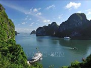 Vietnam recibe a 12,6 millones de turistas extranjeros en 2023