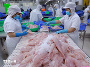 Vietnam pertenece al grupo de mayores exportadores de productos acuáticos en el mundo 