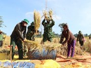 Buenas relaciones entre soldados y pobladores en la frontera de la provincia vietnamita de Gia Lai