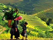 (Televisión) Promueven en Vietnam el turismo comunitario